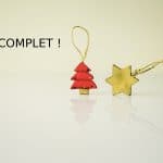 Inscriptions closes pour l’Arbre de Noël européen