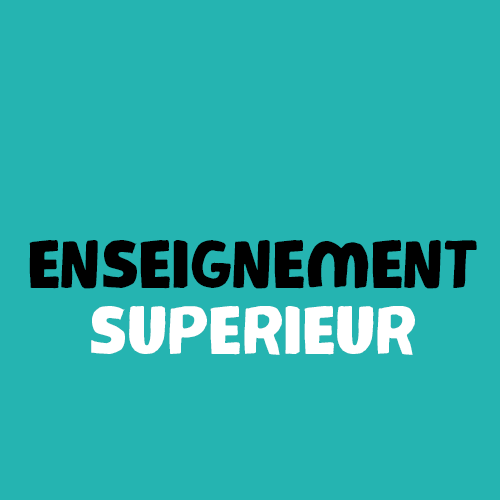 Enseignement supérieur